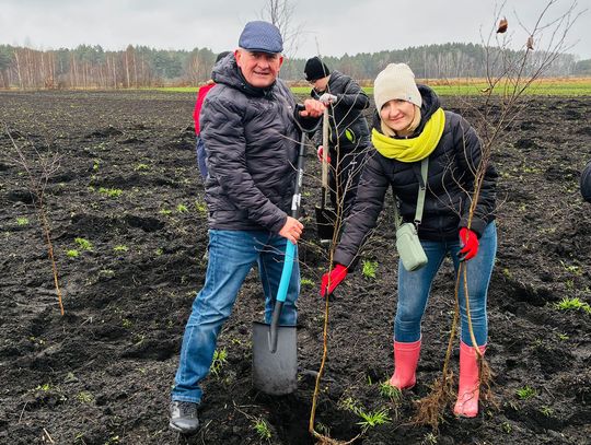 Tuczna. Posadzili 300 drzewek [ZDJĘCIA]
