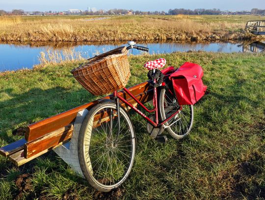 Ukradł rower dziecku. Tłumaczył, że nie chciał, by pojazd... został skradziony