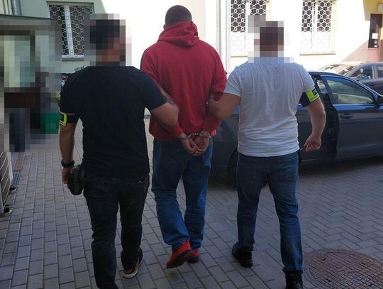 Uprawiali konopie. Wpadli "na gorącym uczynku" [ZDJĘCIA]
