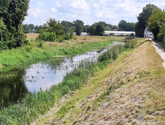 Biała Podlaska. Tymczasowy zakaz poruszania się po wale przeciwpowodziowym Krzny