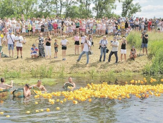 W czerwcu czeka nas wyścig kaczek. Pomożemy Stasiowi Motyczce