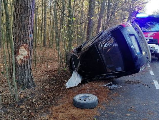 W miejscowości Biała samochód marki Skoda uderzył w drzewo