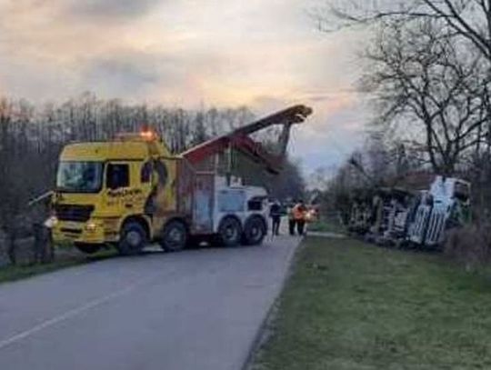 W Ortelu Książęcym przewróciła się gruszka. Wiemy, dlaczego