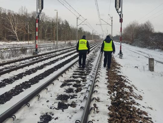 W powiecie bialskim ruszyła operacja „TOR” [ZDJĘCIA]
