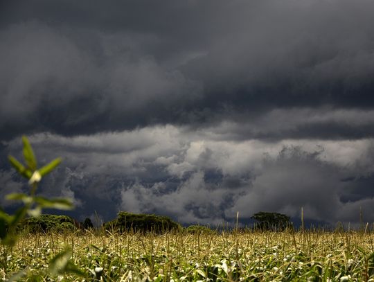 W Studziance będzie stacja meteorologiczna