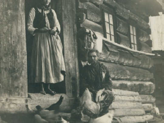 W trzy dni padło sto sztuk drobiu. Epidemia na bialskich wsiach