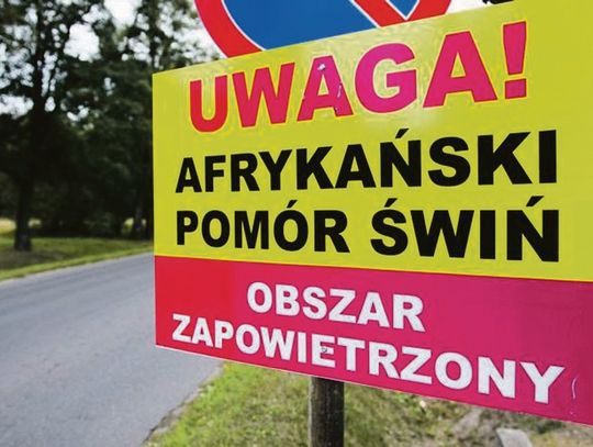 W tym roku dożynek nie będzie