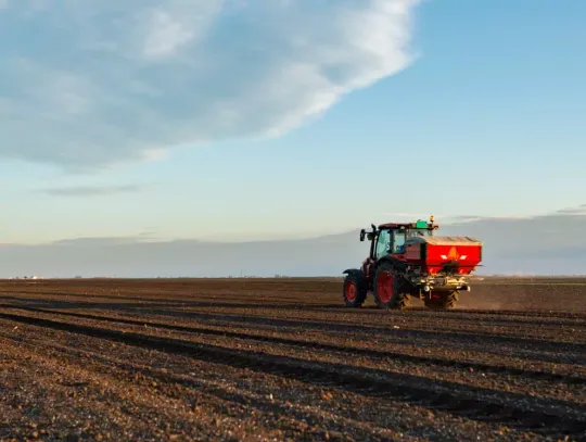 Wapnowanie gleby – dlaczego jest istotne dla plonów i jak zrobić to skutecznie?