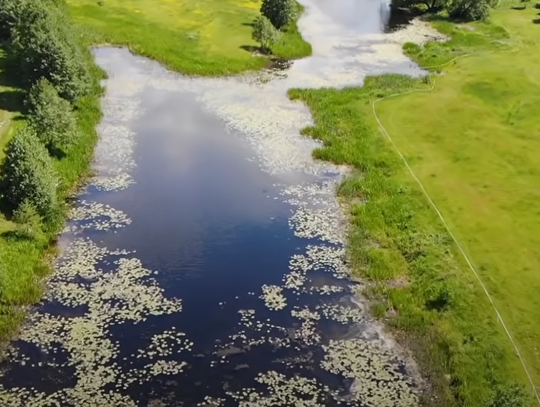 Wędkarze: Chcemy wyjaśnień! PZW: To skomplikowane...