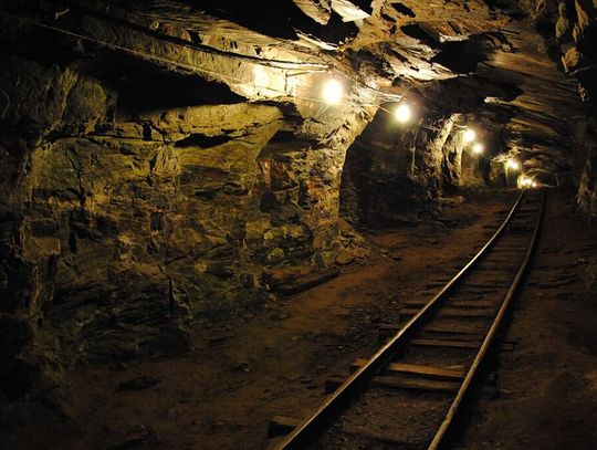 Świat w panice porzuca zieloną energię?