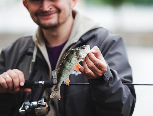 Wielkie spinningowanie w Mostach. Zawody o Puchar Wójta Gminy Sosnówka już we wrześniu