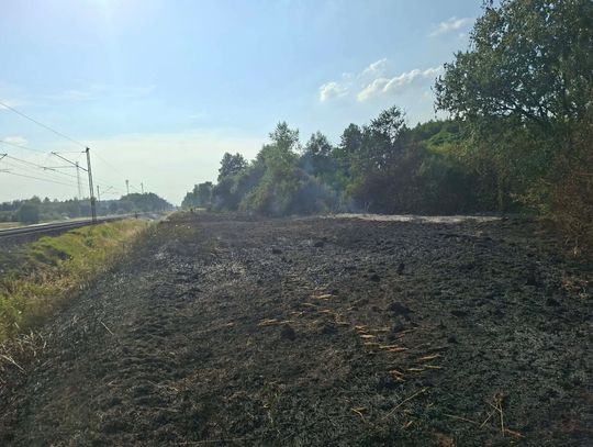 Wielogodzinny paraliż pociągów z Białej Podlaskiej i Terespola