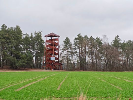 wieża widokowa, Gnojno