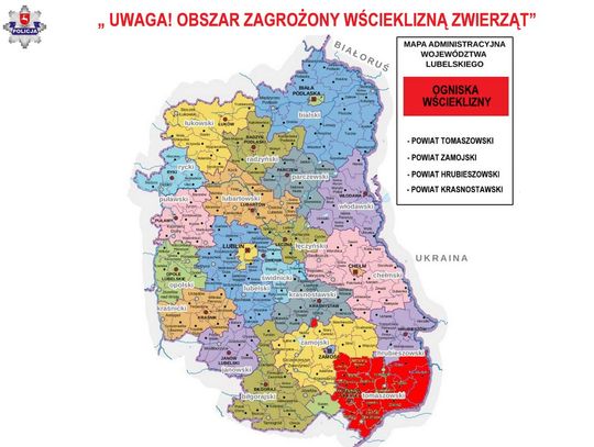 Wscieklizna atakuje Lubelszczyznę. Czy nasz obszar jest zagrożony?