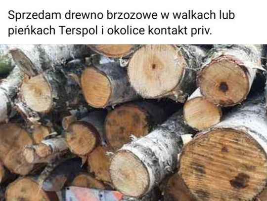 Wycięli i ukradli 170 drzew. Później chcieli je sprzedać przez internet