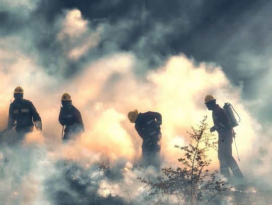 Wypalanie traw to śmiertelne zagrożenie - konsekwencje mogą być katastrofalne!