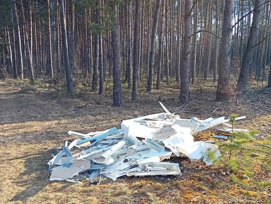 INTERWENCJA: Wyrzucił śmieci do lasu, a w nich dokumenty ze swoimi danymi