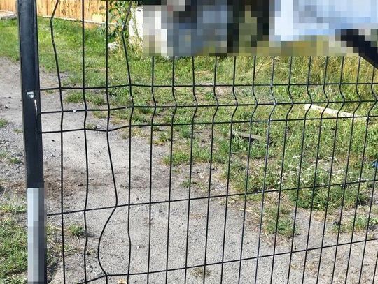Wyżywali się na prywatnym mieniu pod nieobecność właścicieli