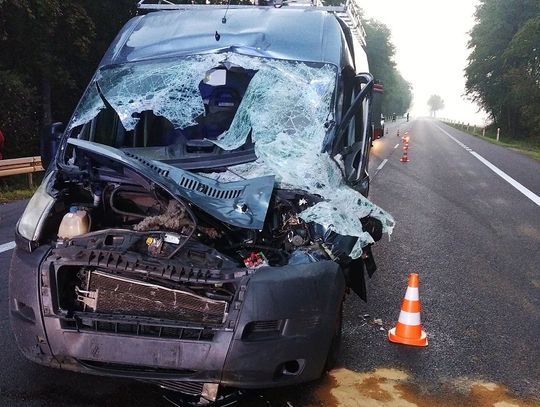 Na dk2 samochód zderzył się z łosiem. Jedna osoba trafiła do szpitala