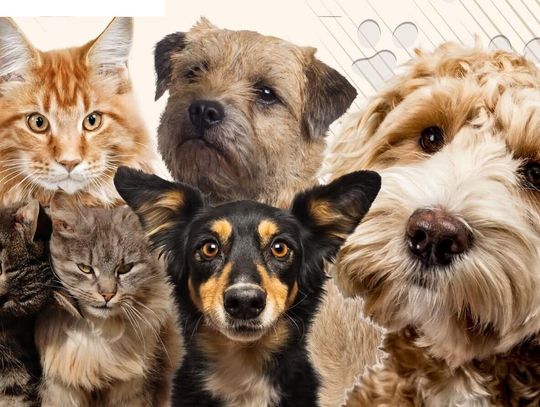 Z tego projektu bialczanie skorzystali w 100 procentach