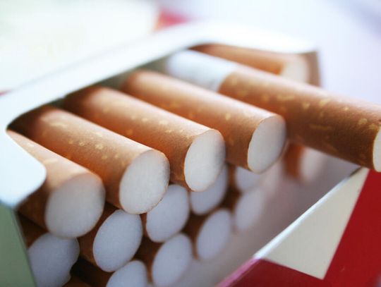  Zakaz mentoli. Co warto o nim wiedzieć?