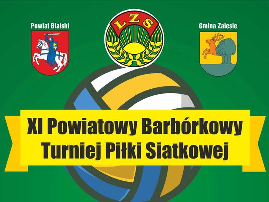 Zapraszają na Barbórkowy Turniej Piłki Siatkowej do Zalesia