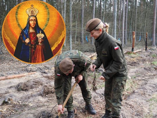 Zasadzą 300 drzew na 300-lecie koronacji obrazu Matki Bożej Kodeńskiej