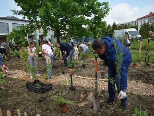 Nowy mikrolas w Międzyrzecu Podlaskim. Zieleń i dziedzictwo Rodziny Eichlerów [GALERIA ZDJĘĆ]