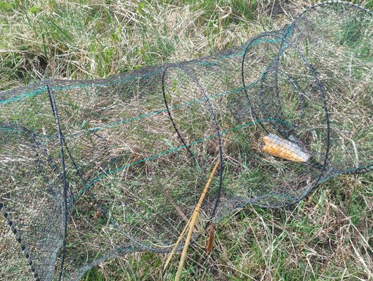 Zatrzymany na gorącym uczynku. Nielegalny połów na zbiorniku Żelizna [ZDJĘCIA]