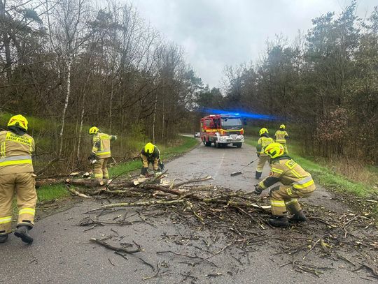 Zerwane dachy, połamane drzewa i brak prądu. Wichura zebrała swoje żniwo Zerwane dachy, połamane drzewa i brak prądu. Wichura zebrała swoje żniwo