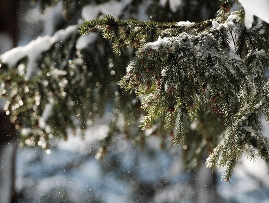 Zima może zaatakować na wschodzie!