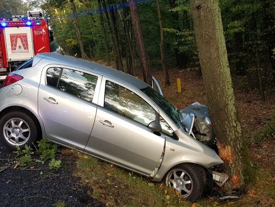 Zjechał z drogi i uderzył w drzewo. Policja szuka świadków wypadku