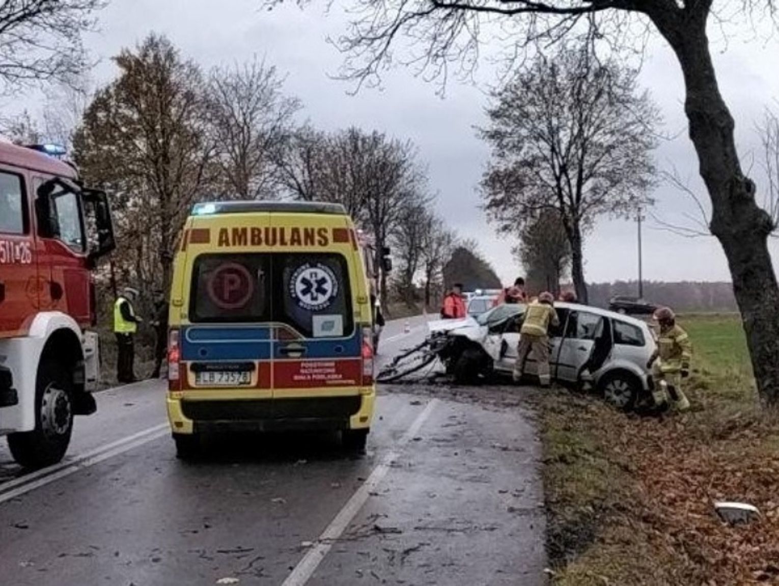 Auto uderzyło w drzewo. Droga powiatowa zablokowana