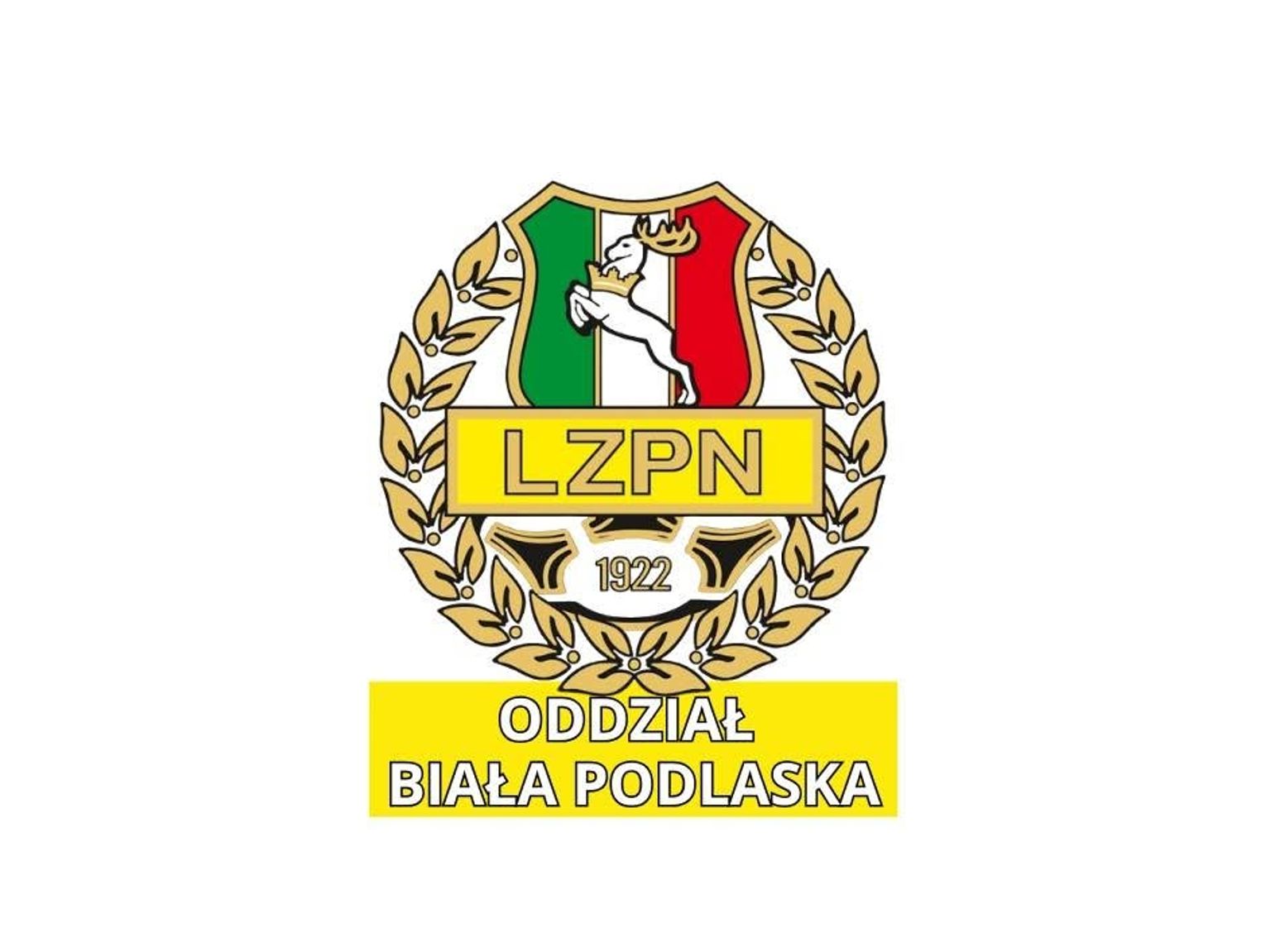 Bałagan z Pucharem