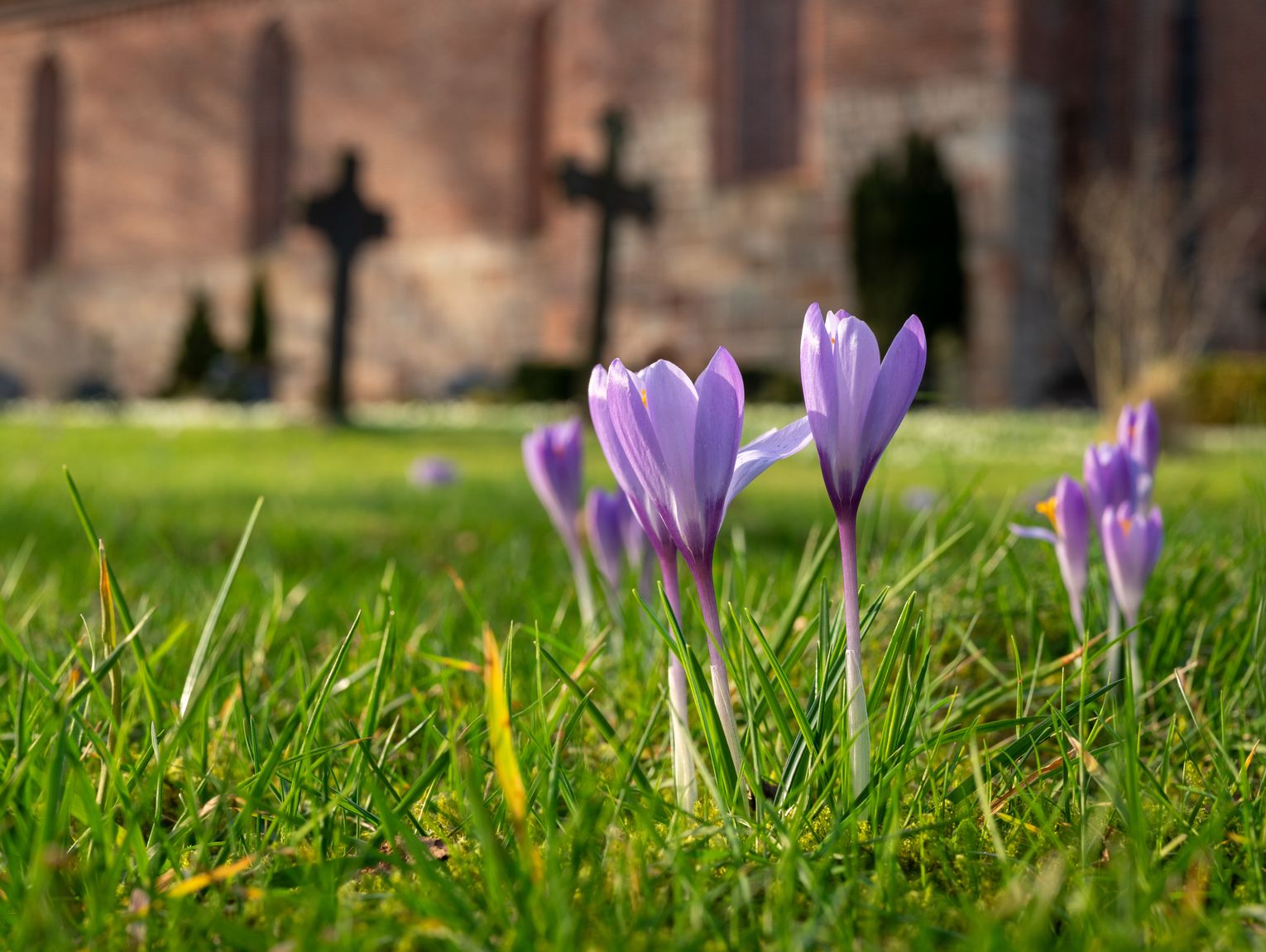 Biała Podlaska. Odeszli do wieczności [05-04-2026]