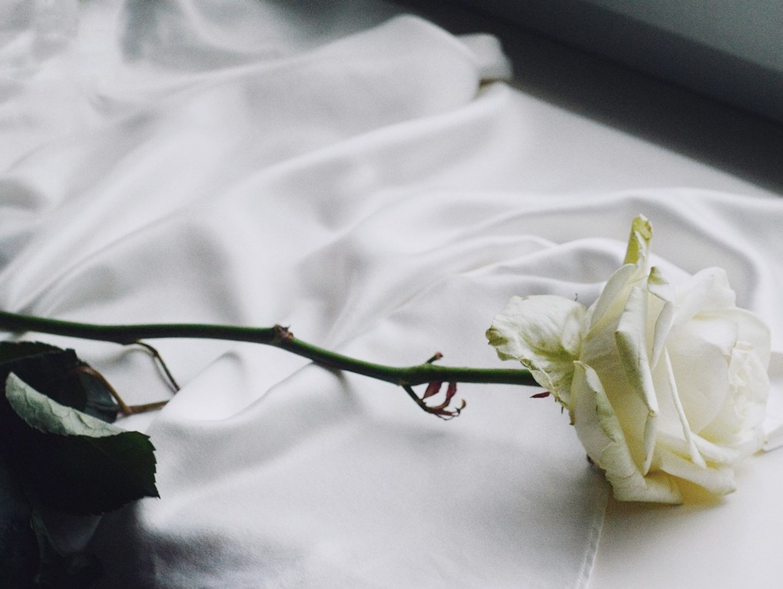 Biała Podlaska. Odeszli do wieczności [05-10-2025]