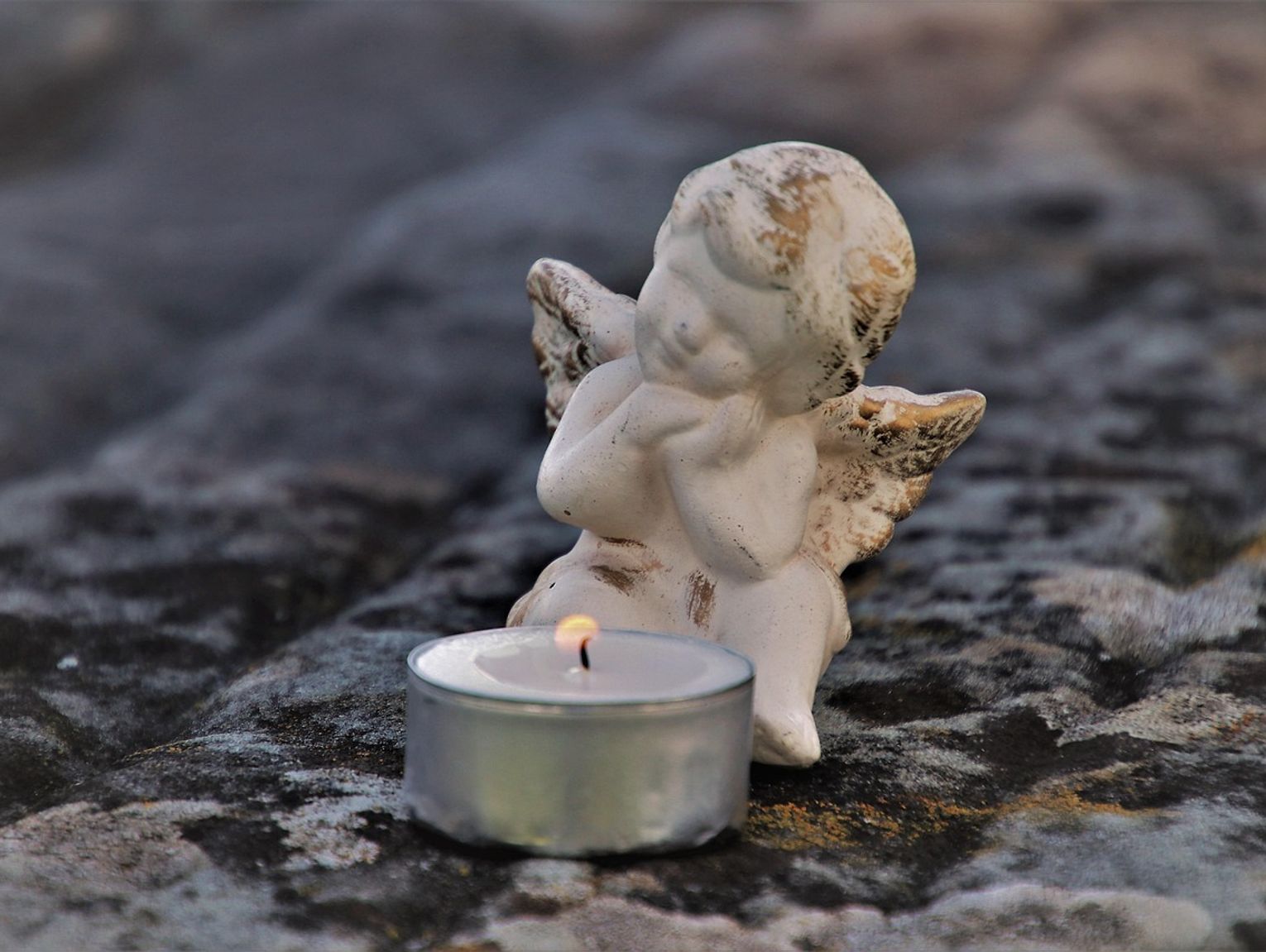 Biała Podlaska. Odeszli do wieczności [07-12-2025]