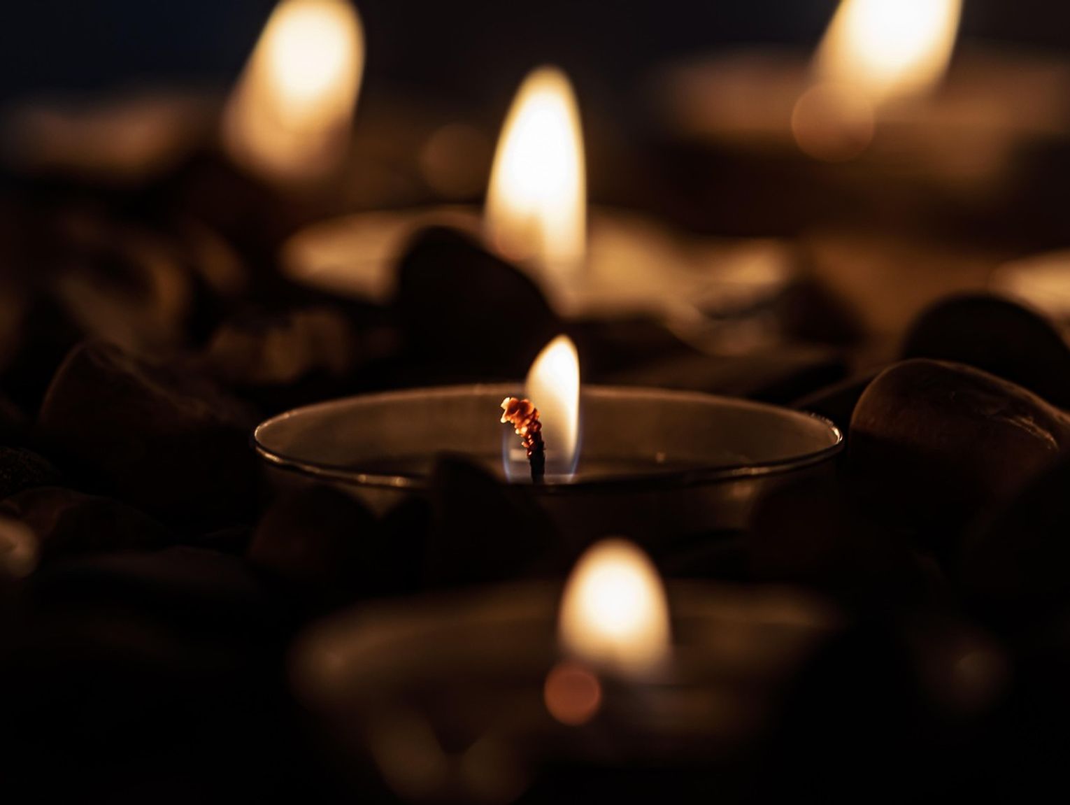 Biała Podlaska. Odeszli do wieczności [25-01-2025]