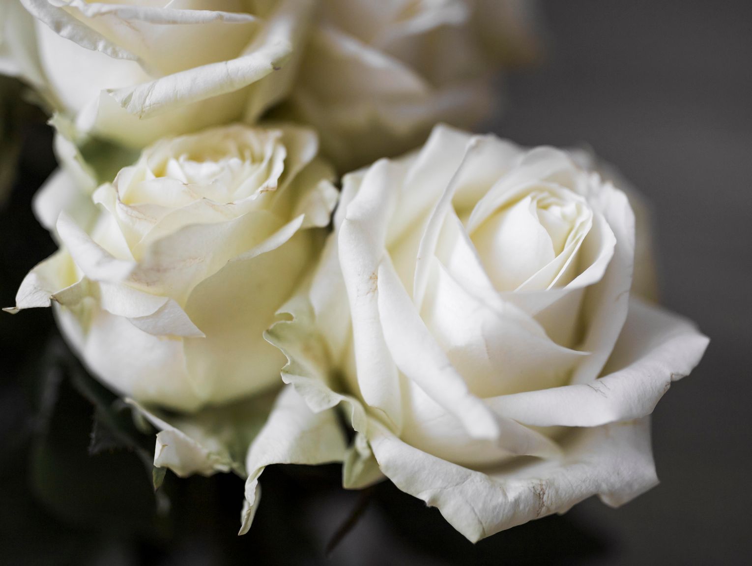 Biała Podlaska. Odeszli do wieczności [30-11-2025]