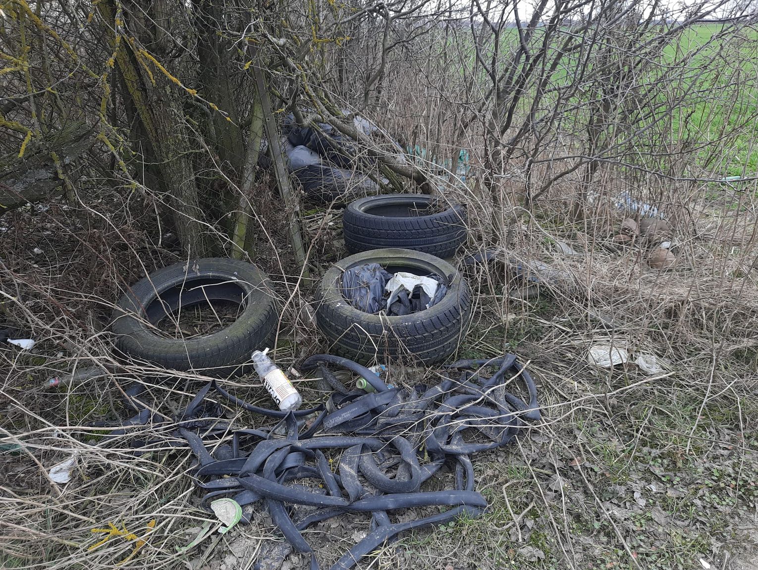 Biała Podlaska. Śmieciowy poligon na Kolonii Francuskiej [ZDJĘCIA]