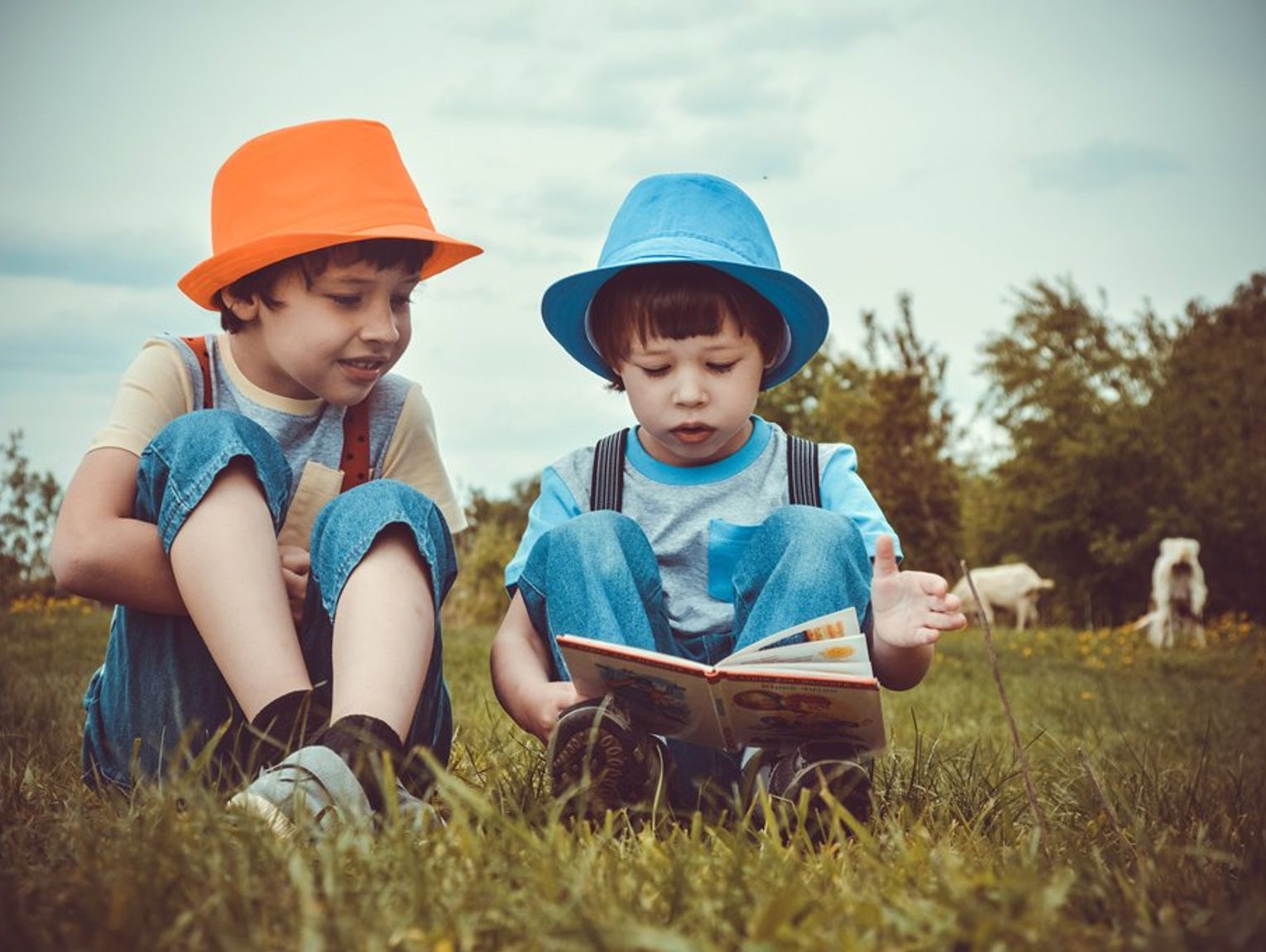 Biała Podlaska. Zapraszają do udziału w Bialskich Dniach Książki Dziecięcej