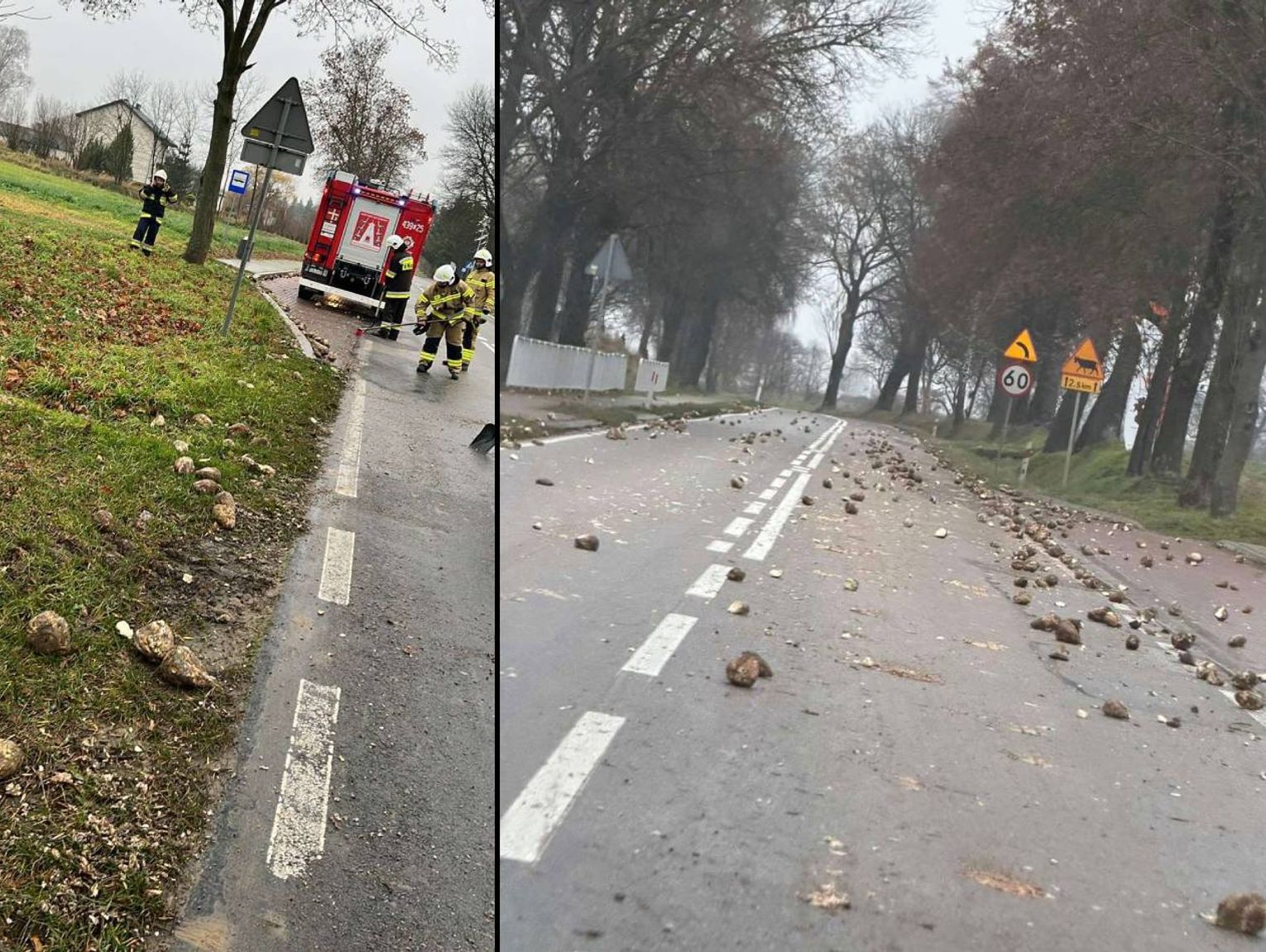 Lubelskie. Buraki cukrowe zablokowały drogę wojewódzką w Borówku