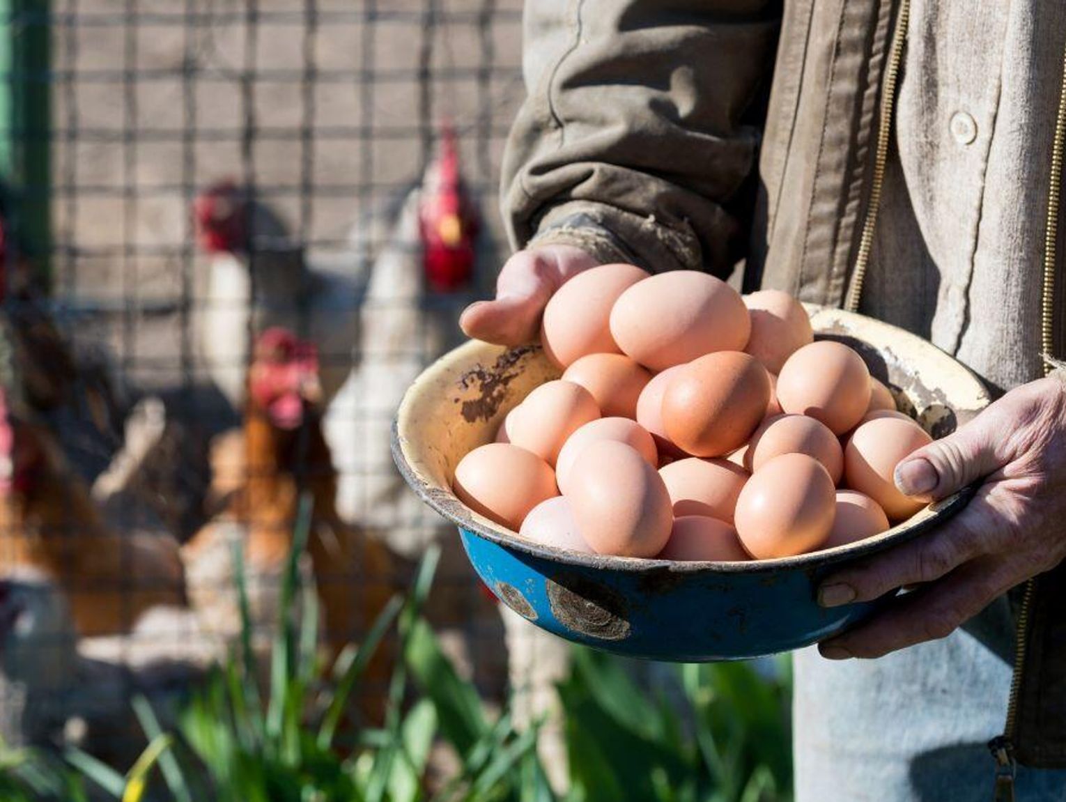 Ceny jaj przed Wielkanocą 2026