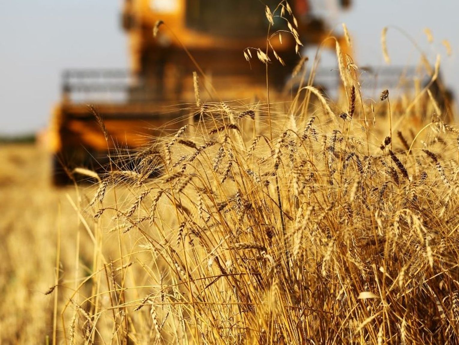 Chcą wesprzeć rolników w wypełnianiu wniosków o dopłaty