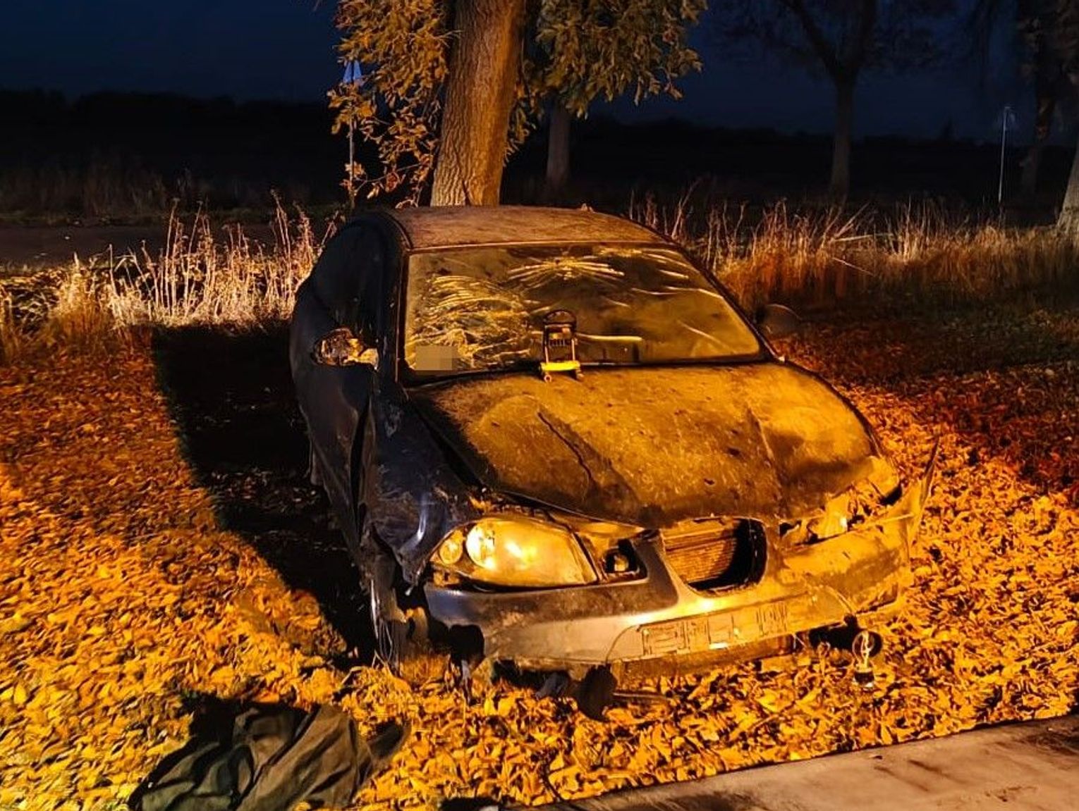 Dachowanie ibizy. Jedna osoba trafiła do szpitala