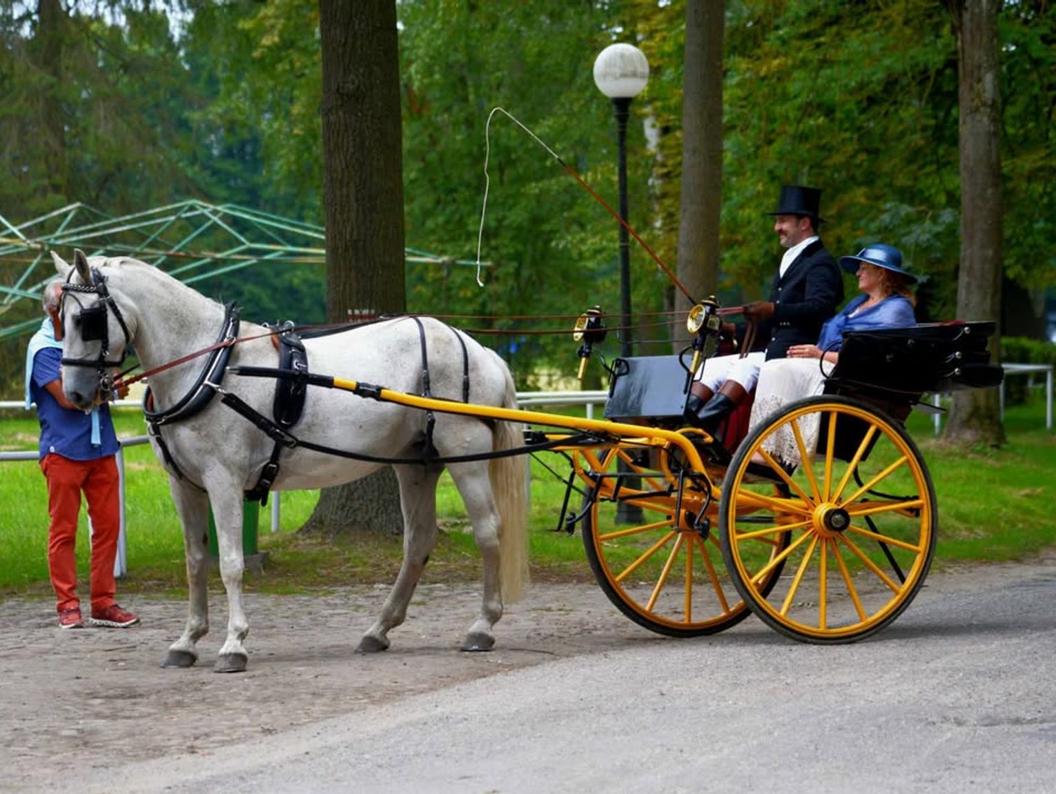 Dni Konia Arabskiego w Janowie Podlaskim. Są pierwsze werdykty [GALERIA ZDJĘĆ]