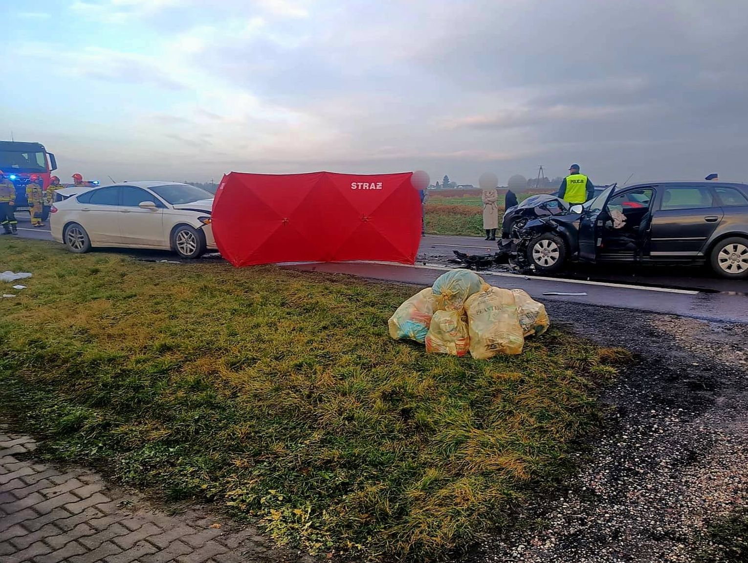 Lubelskie. Nie żyje pieszy. Potrąciła go kierująca audi 37-latka z gminy Zamość