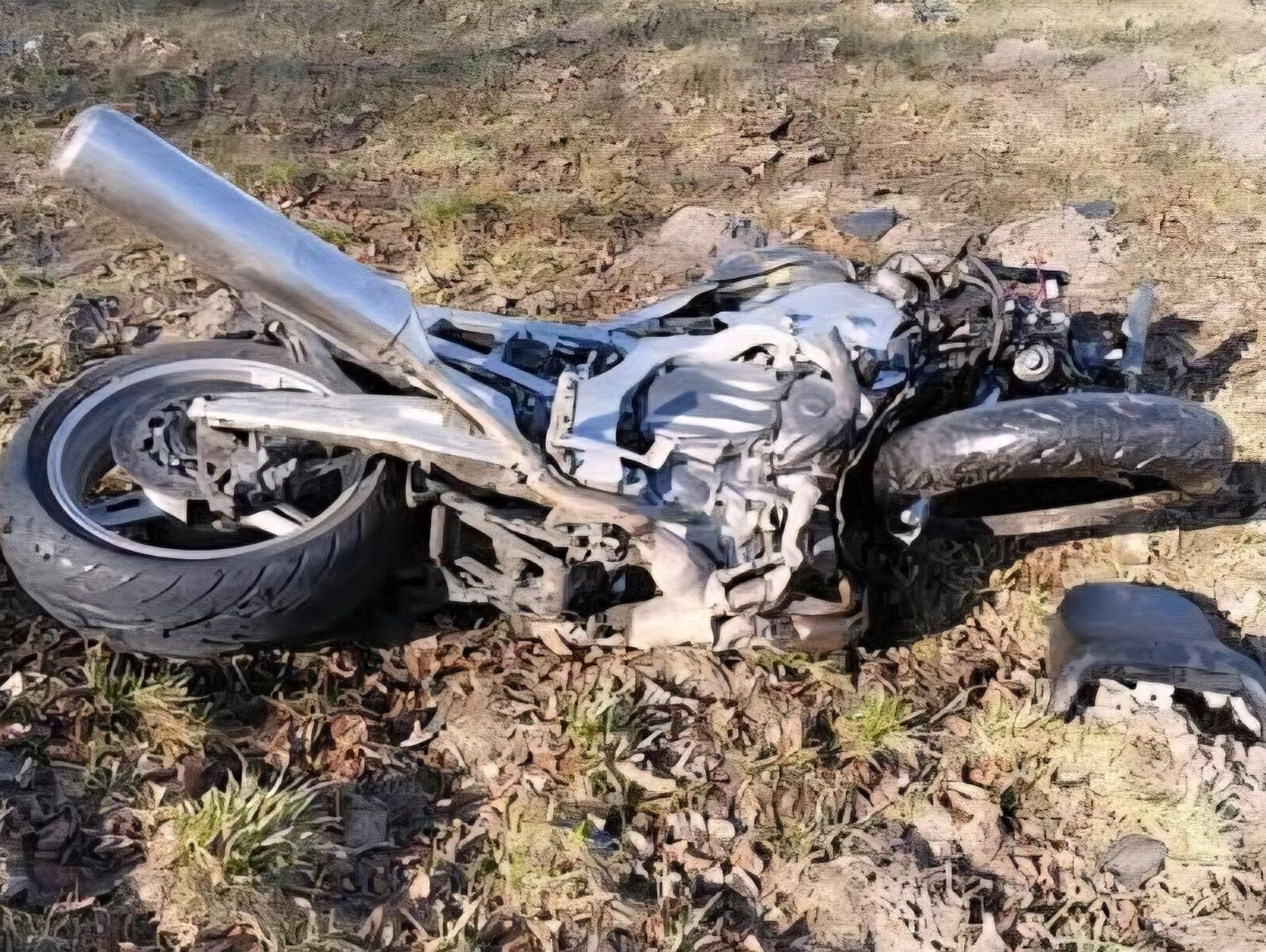 Gmina Janów Podlaski. Policja ujawniła wstępne ustalenia