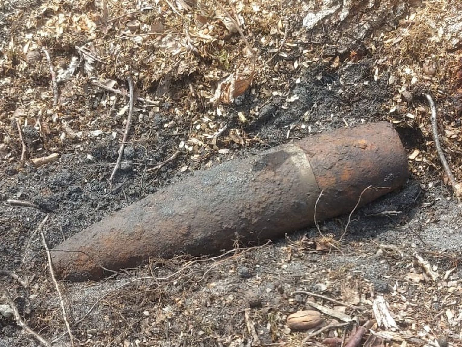 Gmina Kąkolewnica. Pocisk z II wojny światowej w lesie
