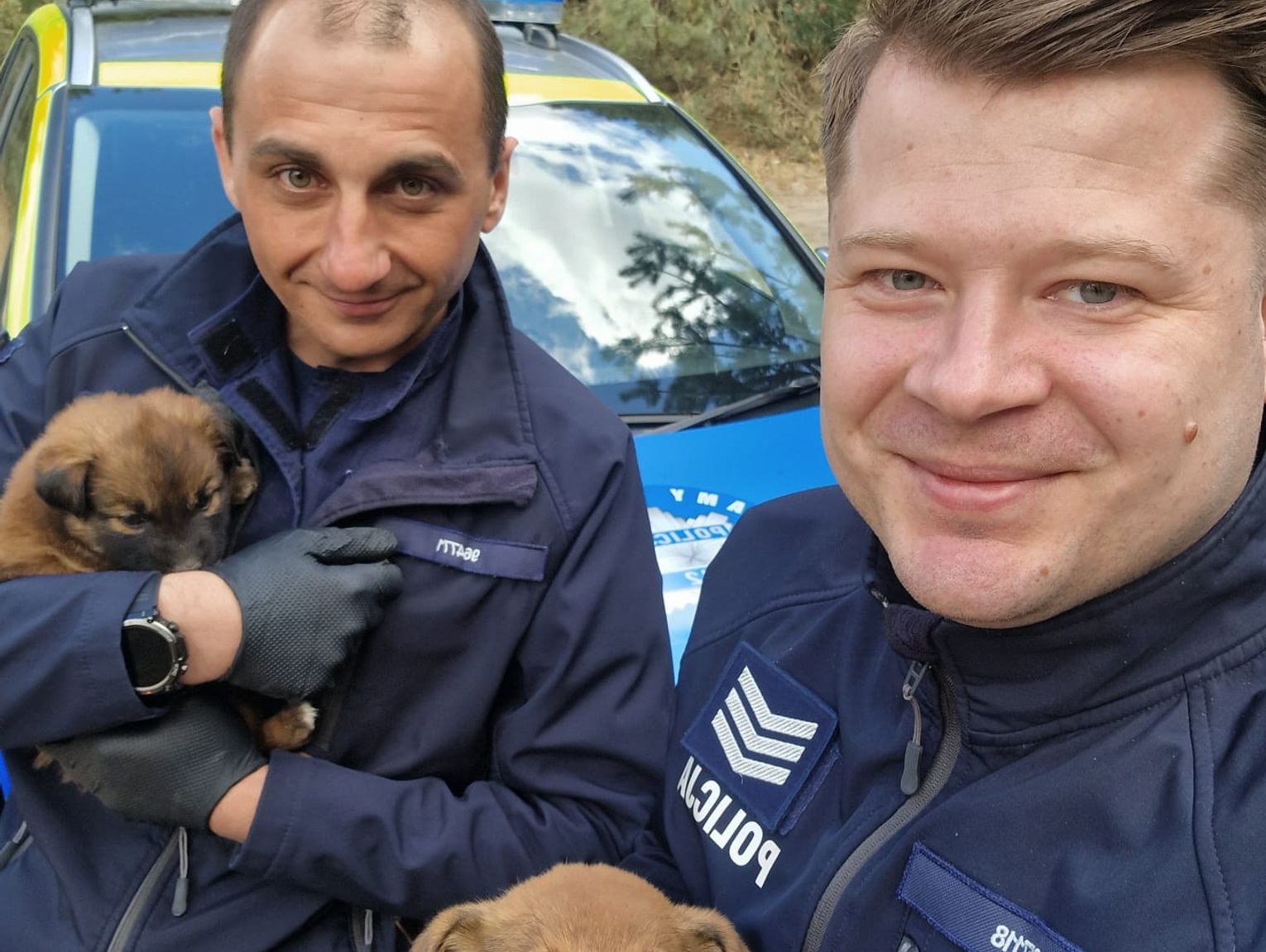 Gmina Sarnaki: Dzielnicowi uratowali szczenięta